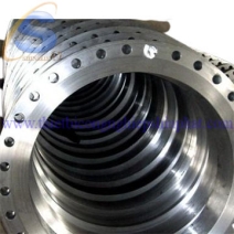 Mặt bích thép carbon, Inox 304